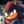 ShadowRacer