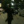 Jasna_Stopa143