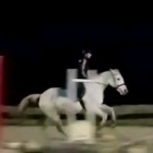 a_equinee