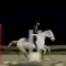 a_equinee