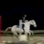a_equinee