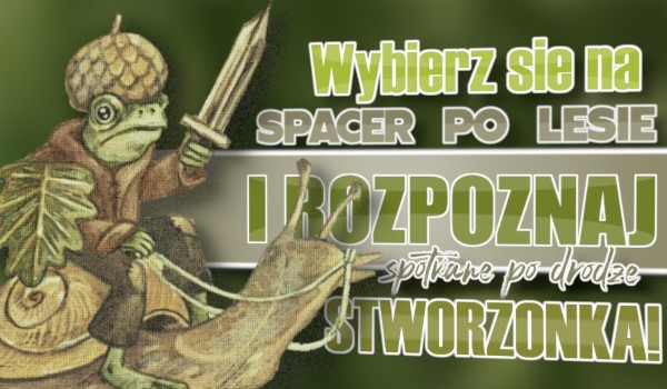 Wybierz się na spacer po lesie i rozpoznaj spotkane po drodze stworzonka!