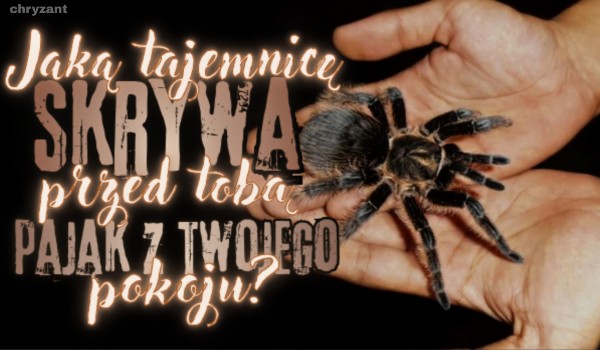 Jaką tajemnicę skrywa przed Tobą pająk w rogu Twojego pokoju?
