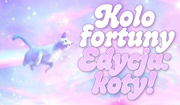 Koło fortuny – Edycja: koty!