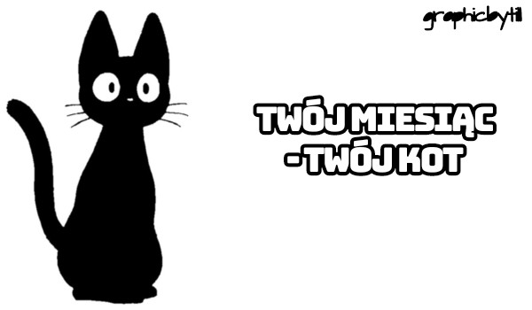 Twój miesiąc – twój kot