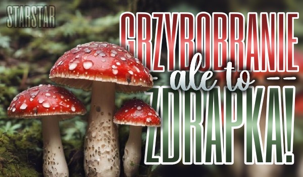 Grzybobranie, ale to zdrapka!